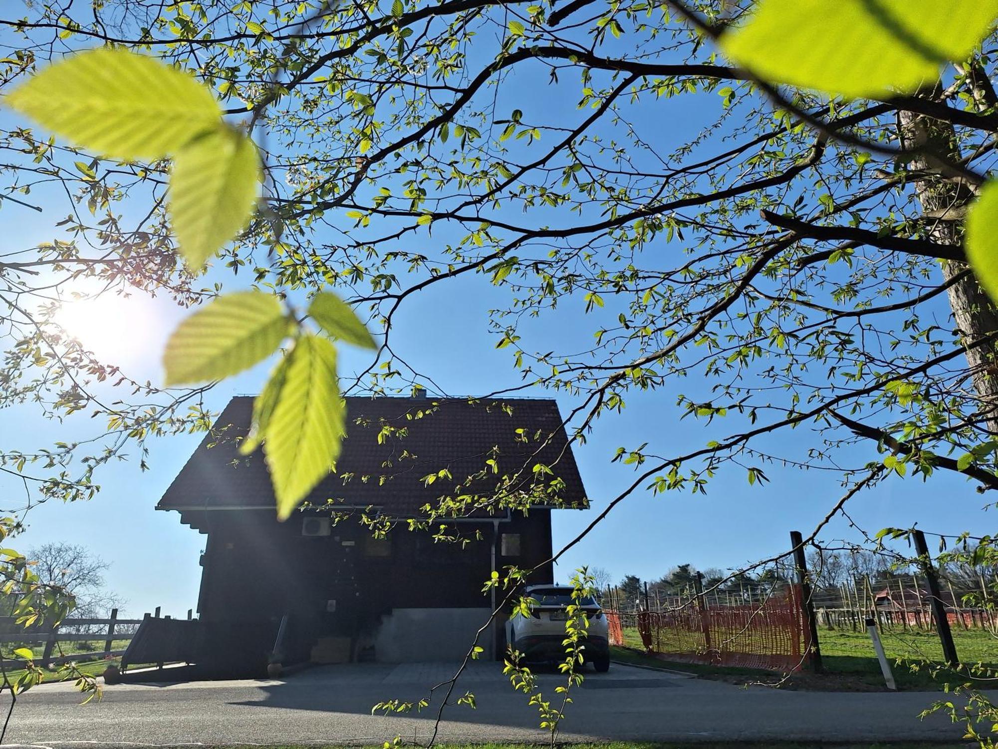 Logarska Koca Villa Fokovci Kültér fotó